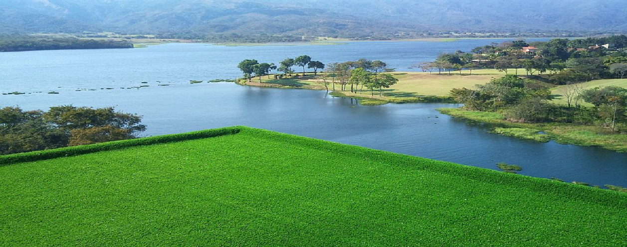 Gramas Artificiales Revestimientos de vanguardia